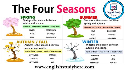 4 seasons synonym